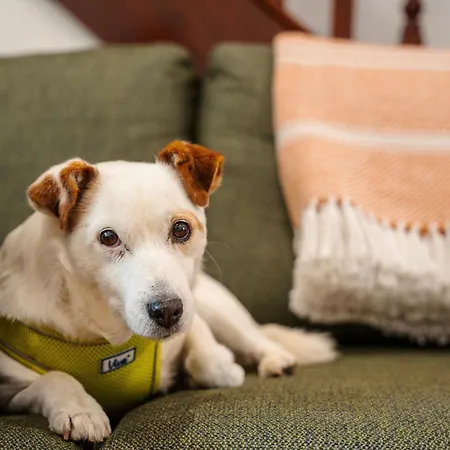 Сasa de vacaciones Alfies Little Townhouse *