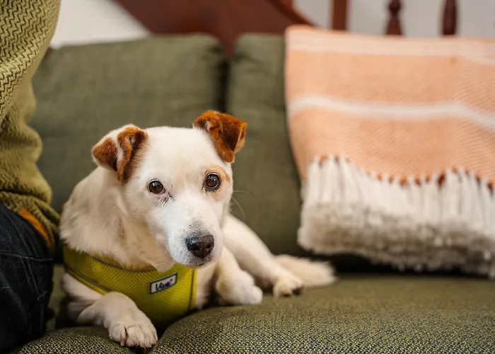 別荘 Alfies Little Townhouse *